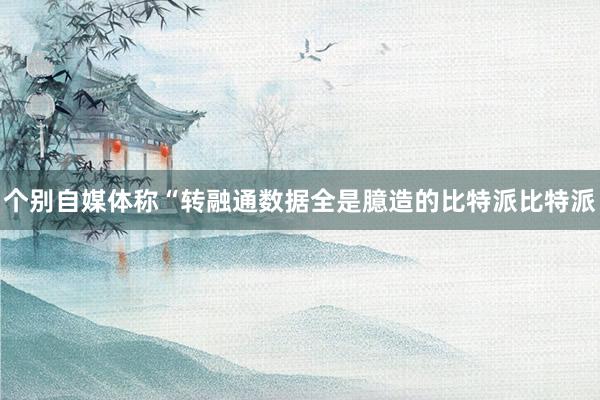 个别自媒体称“转融通数据全是臆造的比特派比特派