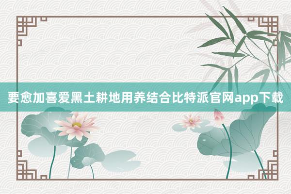 要愈加喜爱黑土耕地用养结合比特派官网app下载