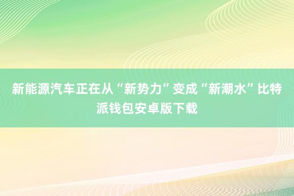 新能源汽车正在从“新势力”变成“新潮水”比特派钱包安卓版下载