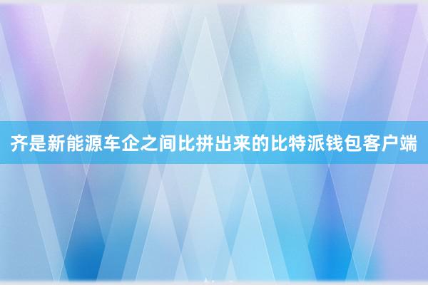 齐是新能源车企之间比拼出来的比特派钱包客户端