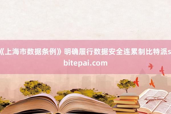 《上海市数据条例》明确履行数据安全连累制比特派s，bitepai.com