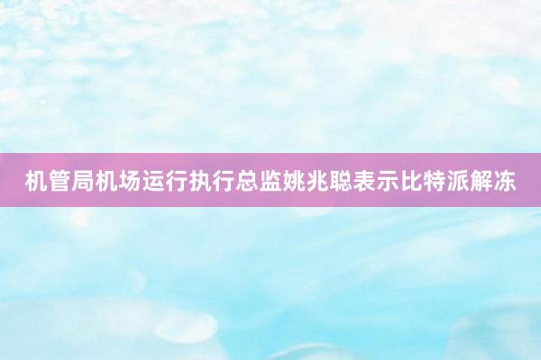 机管局机场运行执行总监姚兆聪表示比特派解冻