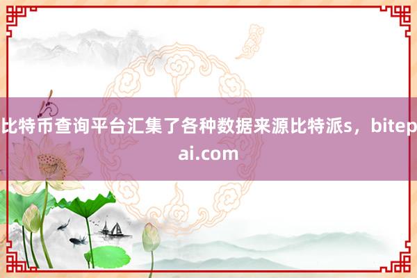 比特币查询平台汇集了各种数据来源比特派s，bitepai.com