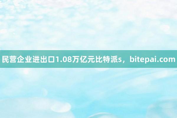 民营企业进出口1.08万亿元比特派s，bitepai.com