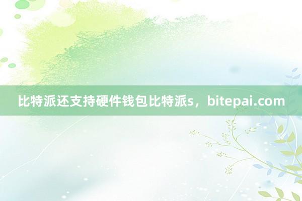 比特派还支持硬件钱包比特派s，bitepai.com