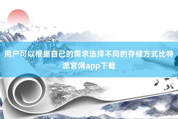 用户可以根据自己的需求选择不同的存储方式比特派官网app下载