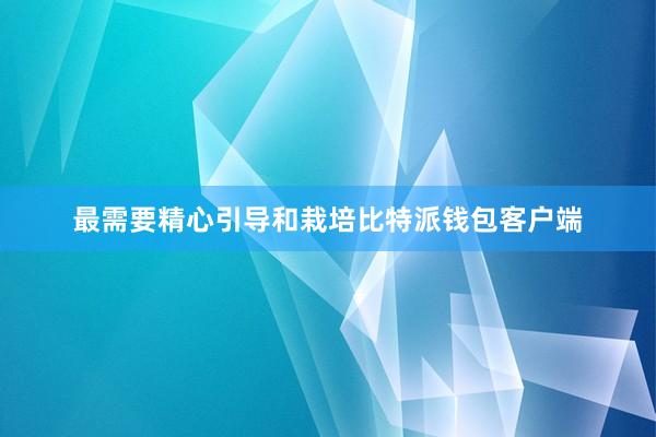 最需要精心引导和栽培比特派钱包客户端