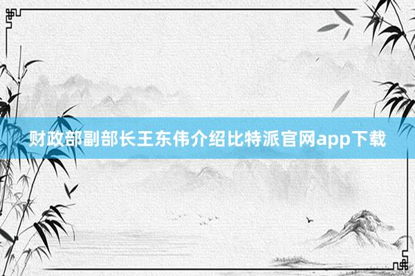 财政部副部长王东伟介绍比特派官网app下载