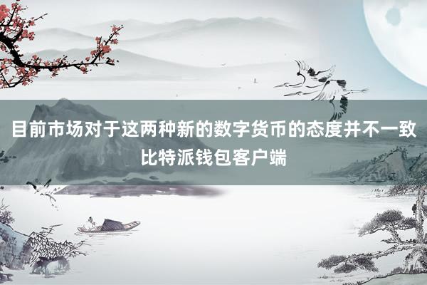 目前市场对于这两种新的数字货币的态度并不一致比特派钱包客户端