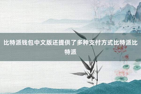 比特派钱包中文版还提供了多种支付方式比特派比特派