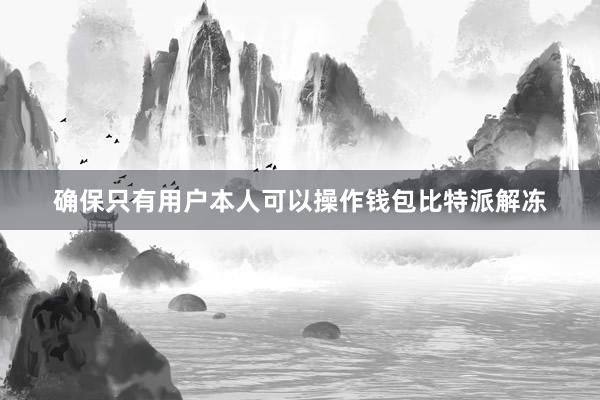 确保只有用户本人可以操作钱包比特派解冻