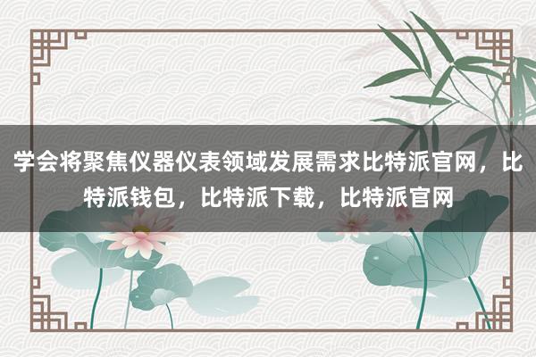 学会将聚焦仪器仪表领域发展需求比特派官网，比特派钱包，比特派下载，比特派官网