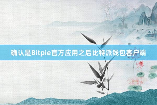 确认是Bitpie官方应用之后比特派钱包客户端