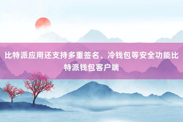 比特派应用还支持多重签名、冷钱包等安全功能比特派钱包客户端