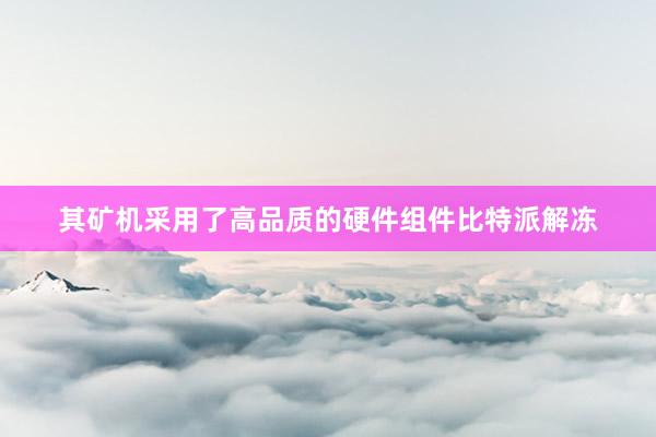 其矿机采用了高品质的硬件组件比特派解冻