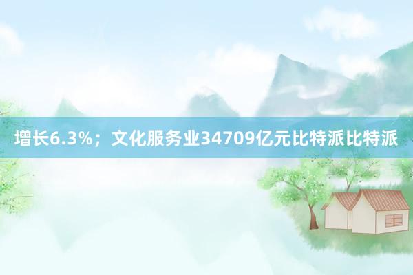 增长6.3%；文化服务业34709亿元比特派比特派