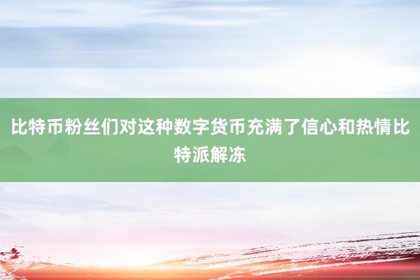 比特币粉丝们对这种数字货币充满了信心和热情比特派解冻