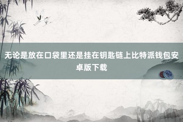 无论是放在口袋里还是挂在钥匙链上比特派钱包安卓版下载