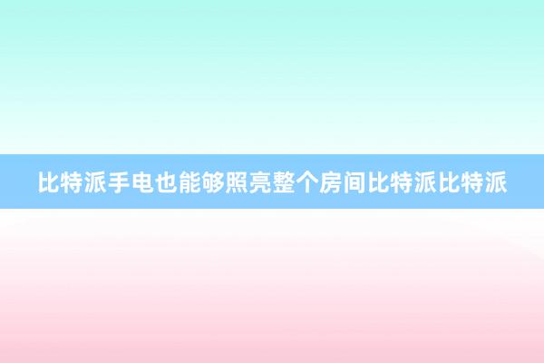 比特派手电也能够照亮整个房间比特派比特派