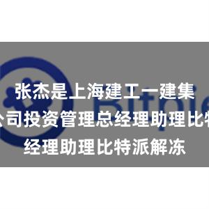 张杰是上海建工一建集团有限公司投资管理总经理助理比特派解冻