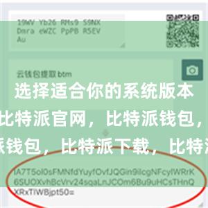选择适合你的系统版本进行下载比特派官网，比特派钱包，比特派下载，比特派官网