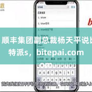 ”顺丰集团副总裁杨天平说比特派s，bitepai.com