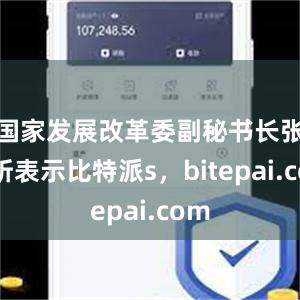 国家发展改革委副秘书长张世昕表示比特派s，bitepai.com