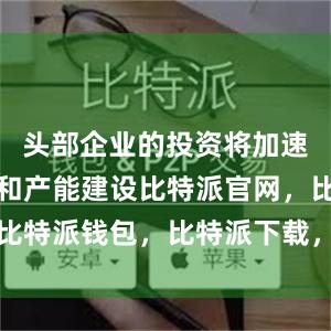 头部企业的投资将加速技术创新和产能建设比特派官网，比特派钱包，比特派下载，比特派官网