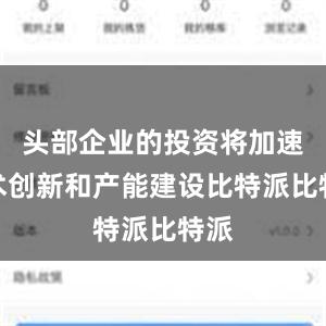 头部企业的投资将加速技术创新和产能建设比特派比特派