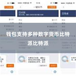 钱包支持多种数字货币比特派比特派