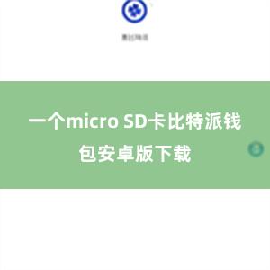 一个micro SD卡比特派钱包安卓版下载