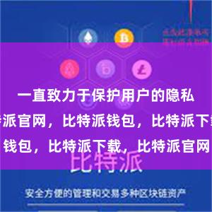 一直致力于保护用户的隐私和安全比特派官网，比特派钱包，比特派下载，比特派官网